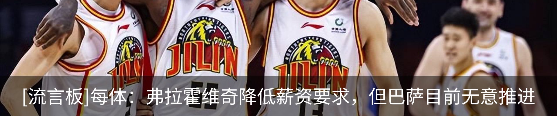 新闻动态